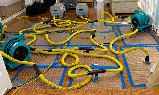 Professional Crawl Space Water Removal technician working in Mazon, IL